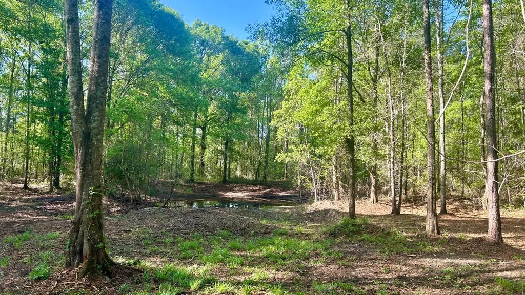 26953 Harmony Church Road Andalusia AL 36421