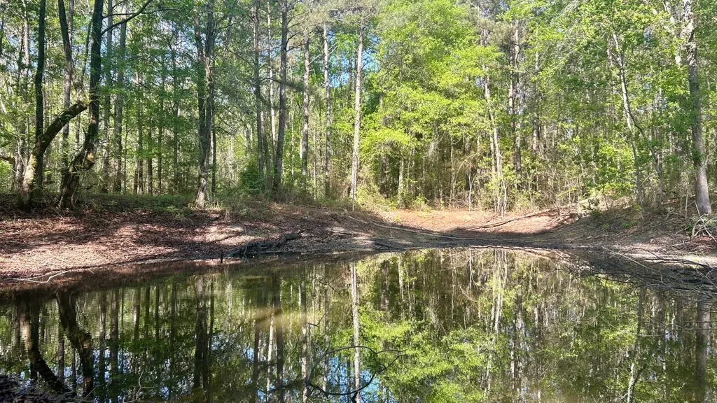 26953 Harmony Church Road Andalusia AL 36421