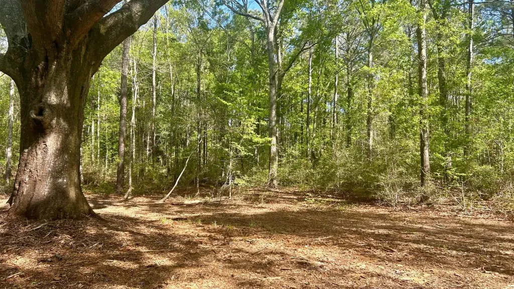 26953 Harmony Church Road Andalusia AL 36421