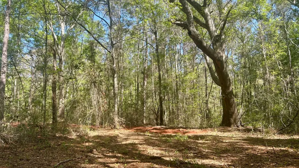 26953 Harmony Church Road Andalusia AL 36421