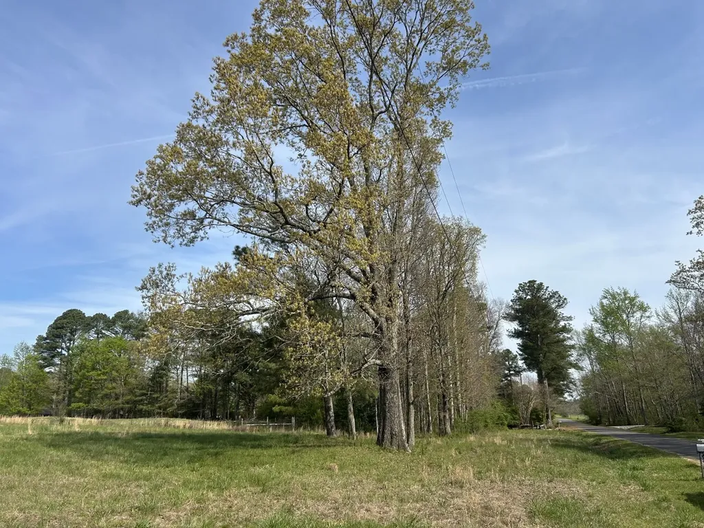 0 County Road 163, Tract A Henagar AL 35978