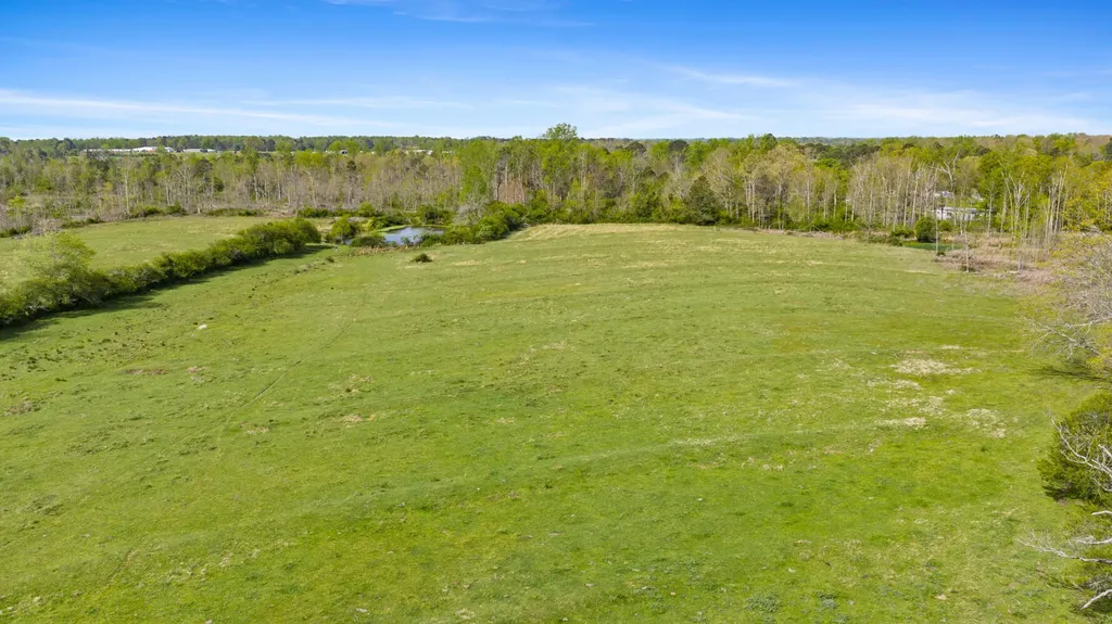 0 County Road 163, Tract A Henagar AL 35978