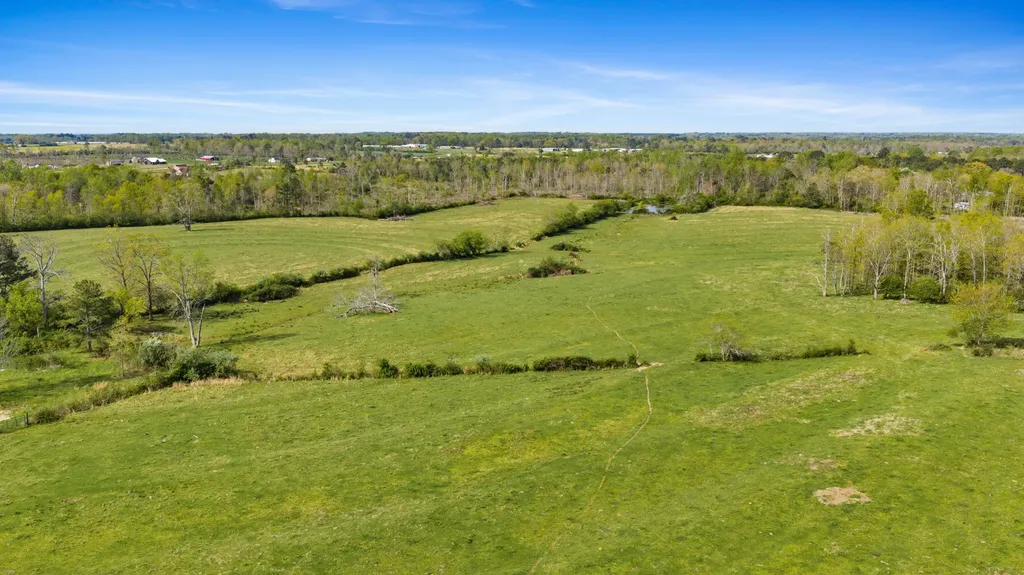 0 County Road 163, Tract A Henagar AL 35978