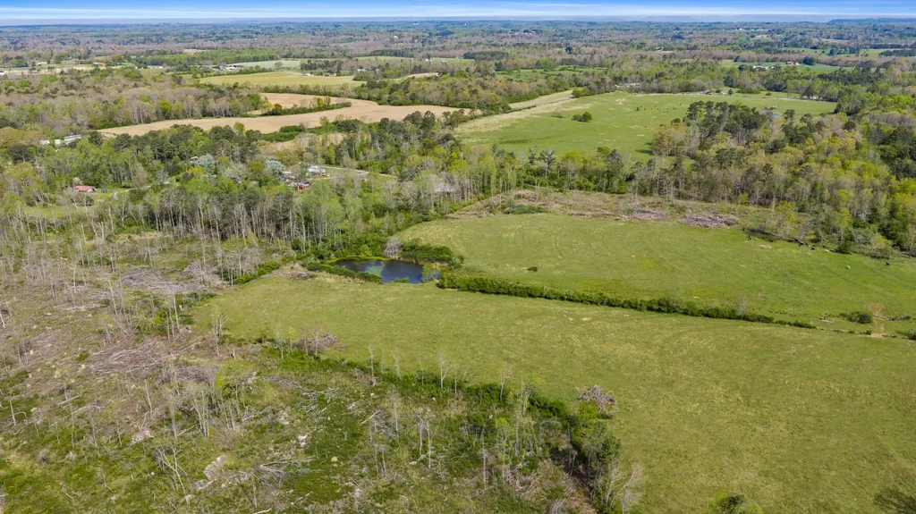 0 County Road 163, Tract A Henagar AL 35978