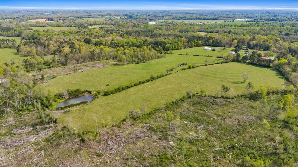 0 County Road 163, Tract A Henagar AL 35978