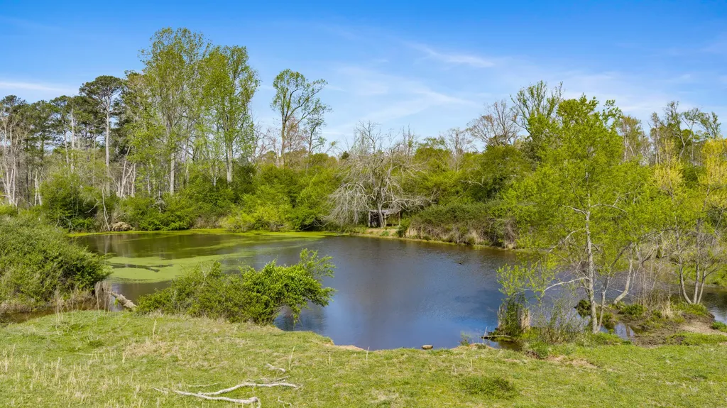 0 County Road 163, Tract A Henagar AL 35978
