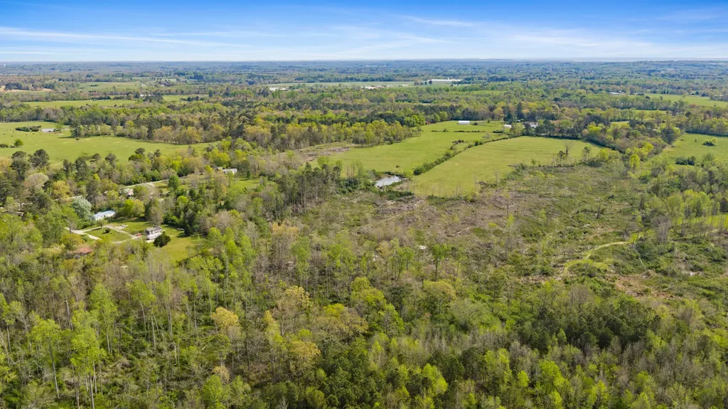0 County Road 163, Tract A Henagar AL 35978