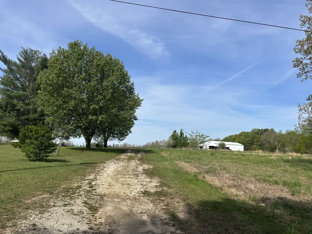 0 County Road 163, Tract A Henagar AL 35978