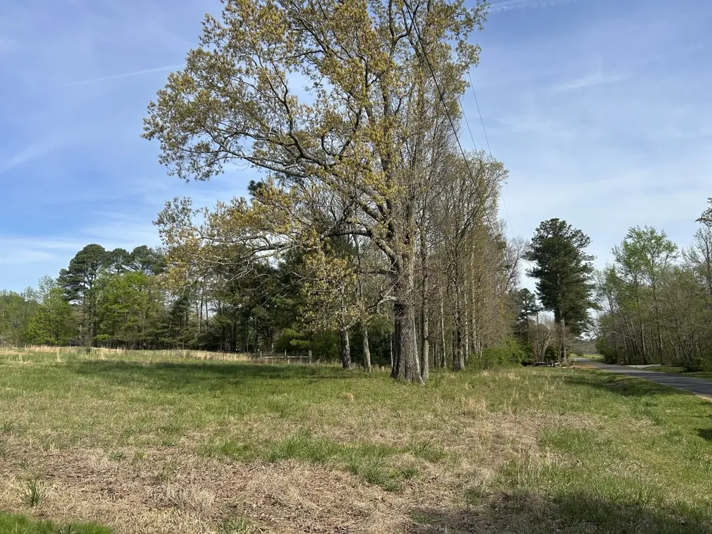 0 County Road 163, Tract A Henagar AL 35978