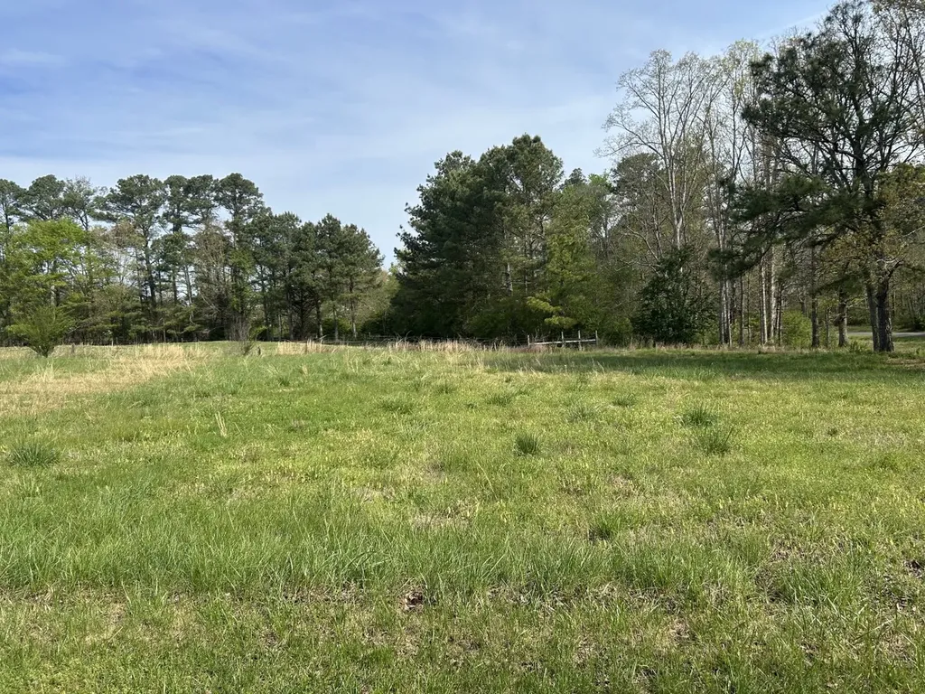 0 County Road 163, Tract A Henagar AL 35978