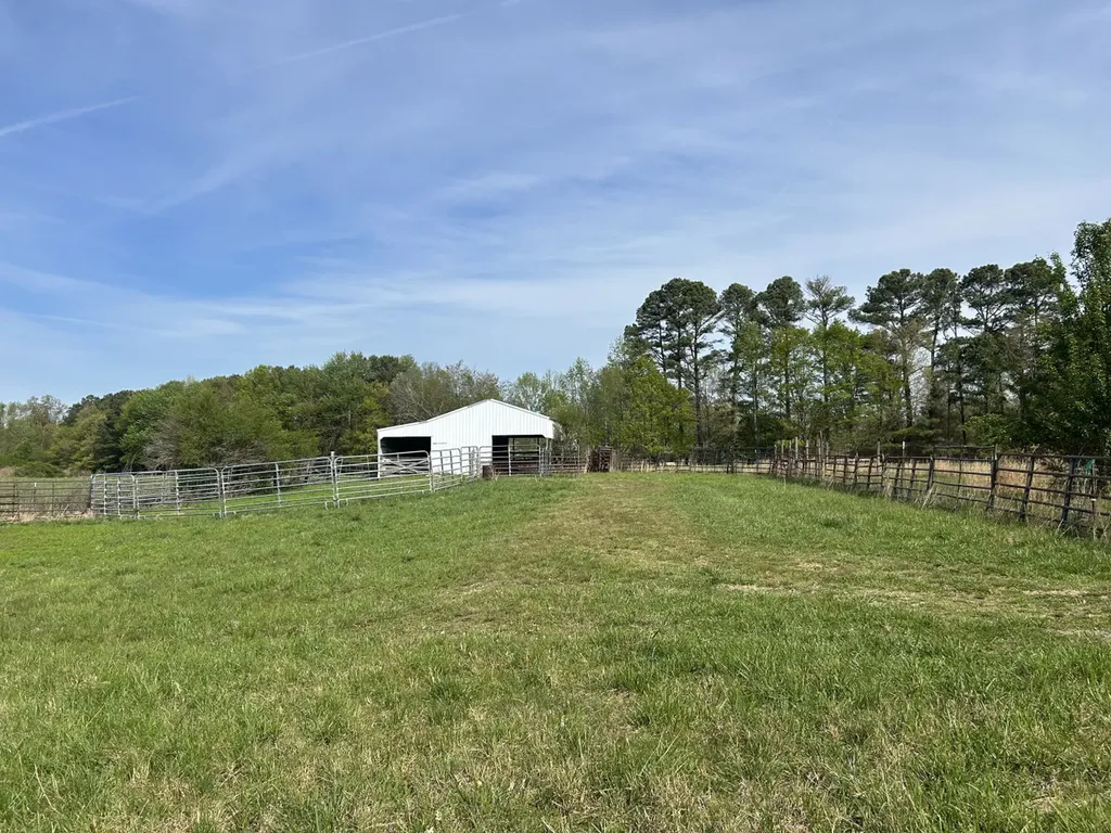 0 County Road 163, Tract A Henagar AL 35978