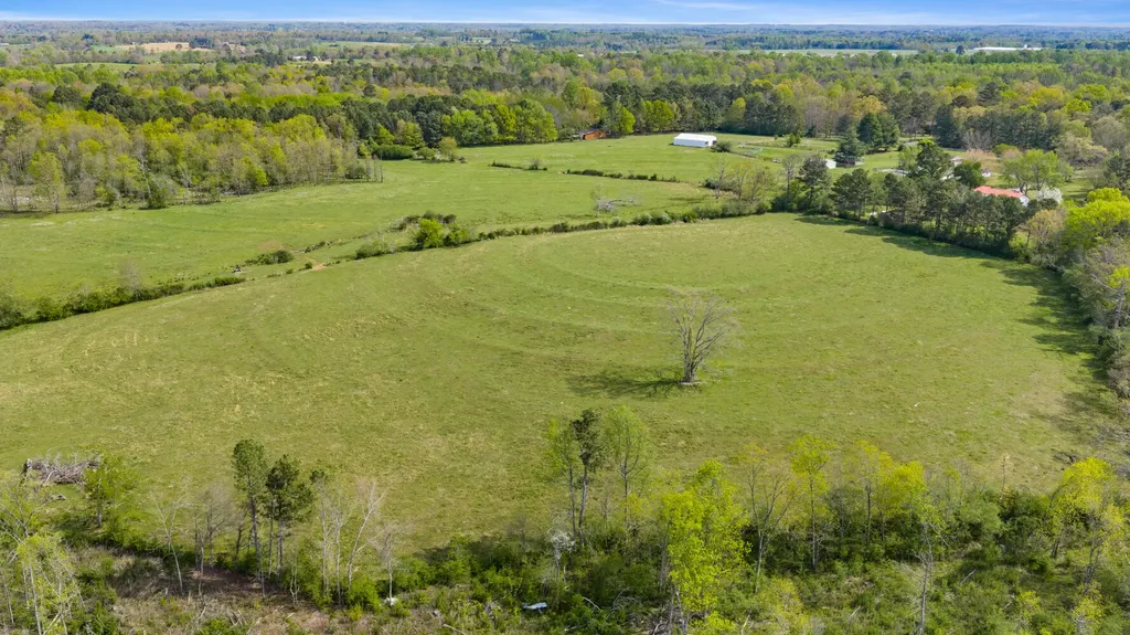 0 County Road 163, Tract A Henagar AL 35978