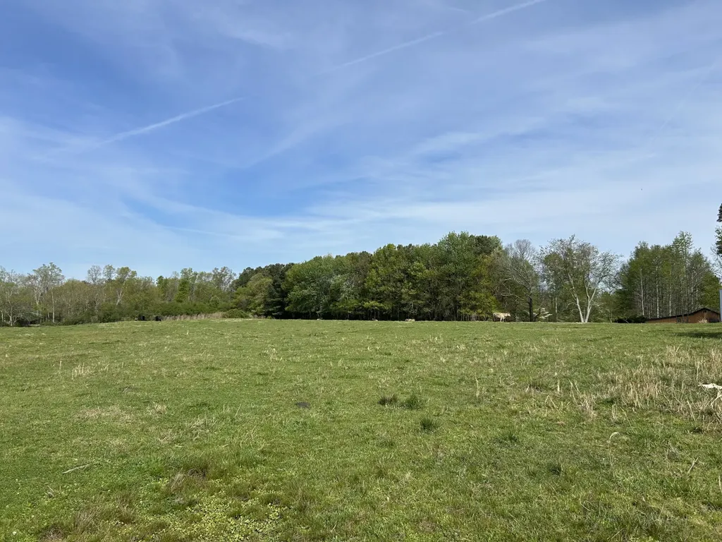 0 County Road 163, Tract A Henagar AL 35978