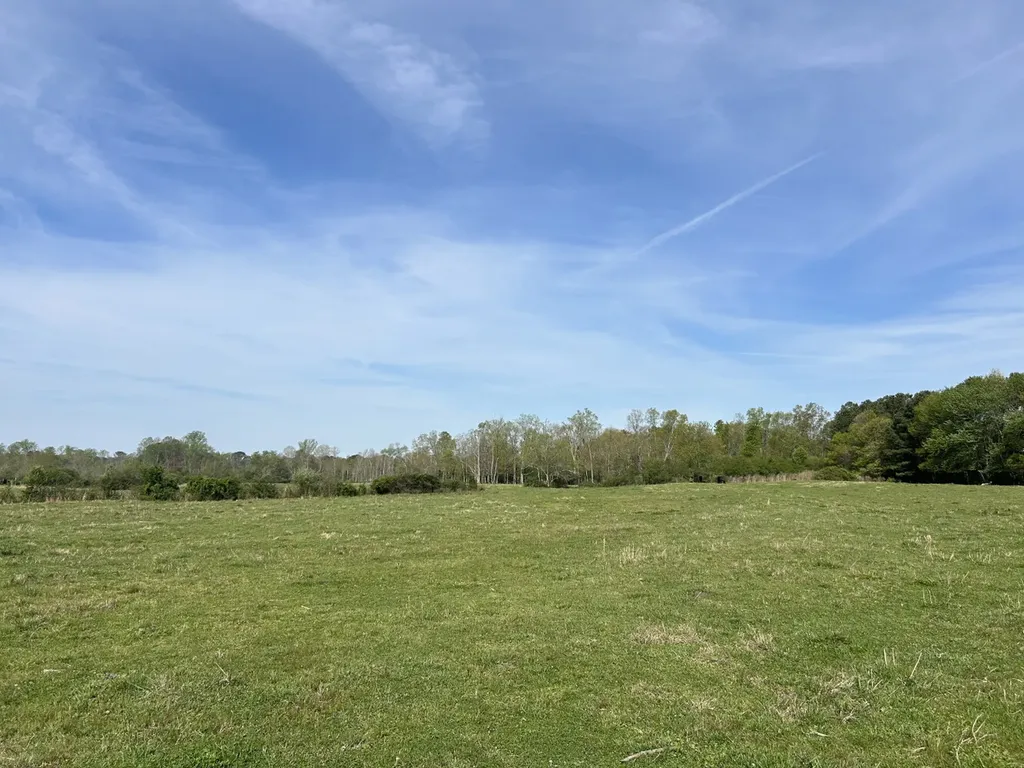 0 County Road 163, Tract A Henagar AL 35978