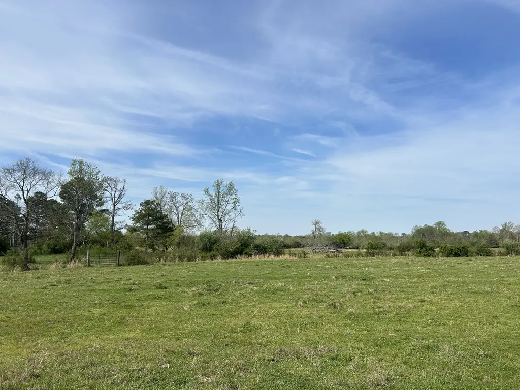 0 County Road 163, Tract A Henagar AL 35978