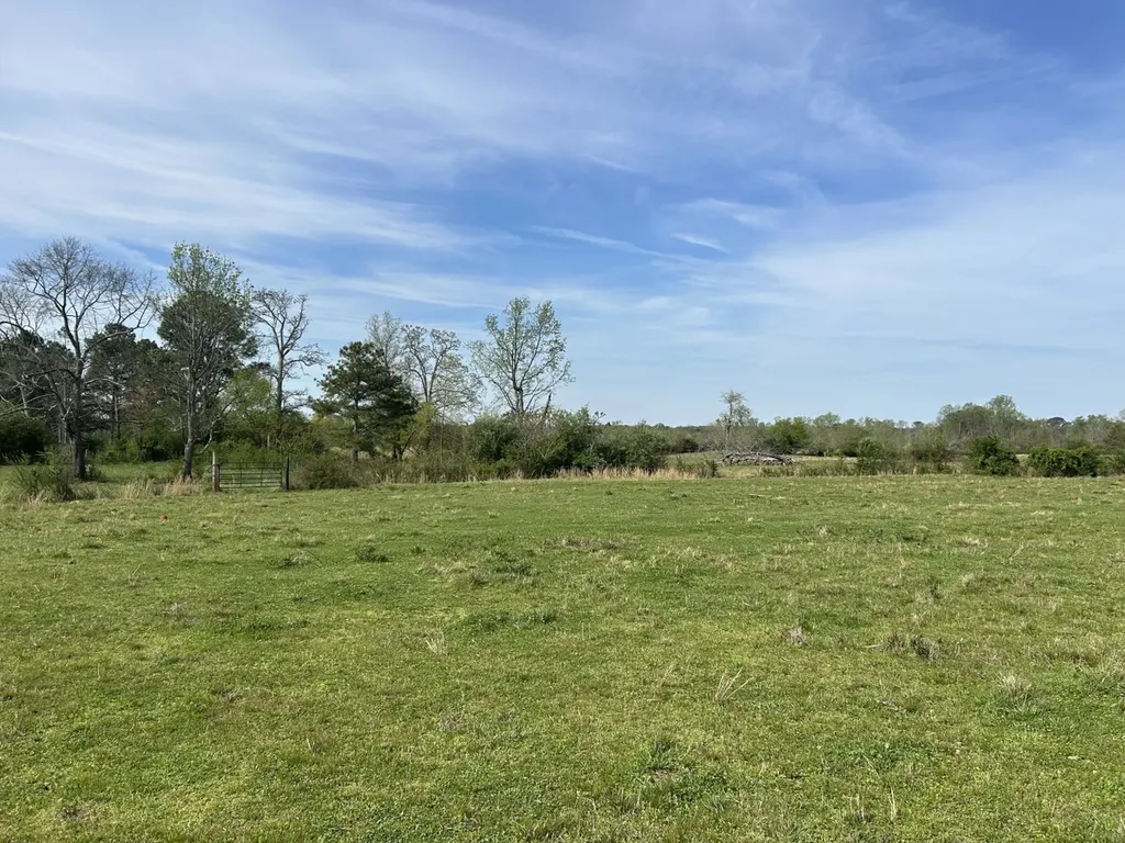 0 County Road 163, Tract A Henagar AL 35978
