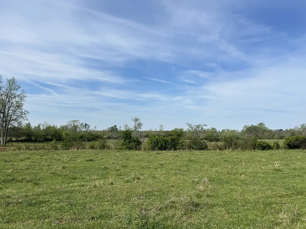 0 County Road 163, Tract A Henagar AL 35978