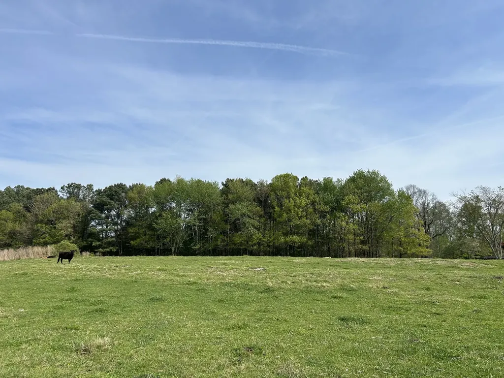 0 County Road 163, Tract A Henagar AL 35978