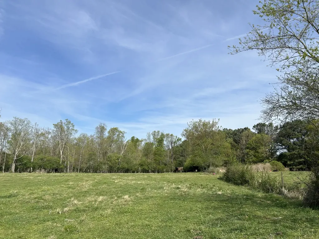 0 County Road 163, Tract A Henagar AL 35978