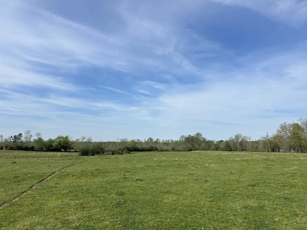 0 County Road 163, Tract A Henagar AL 35978