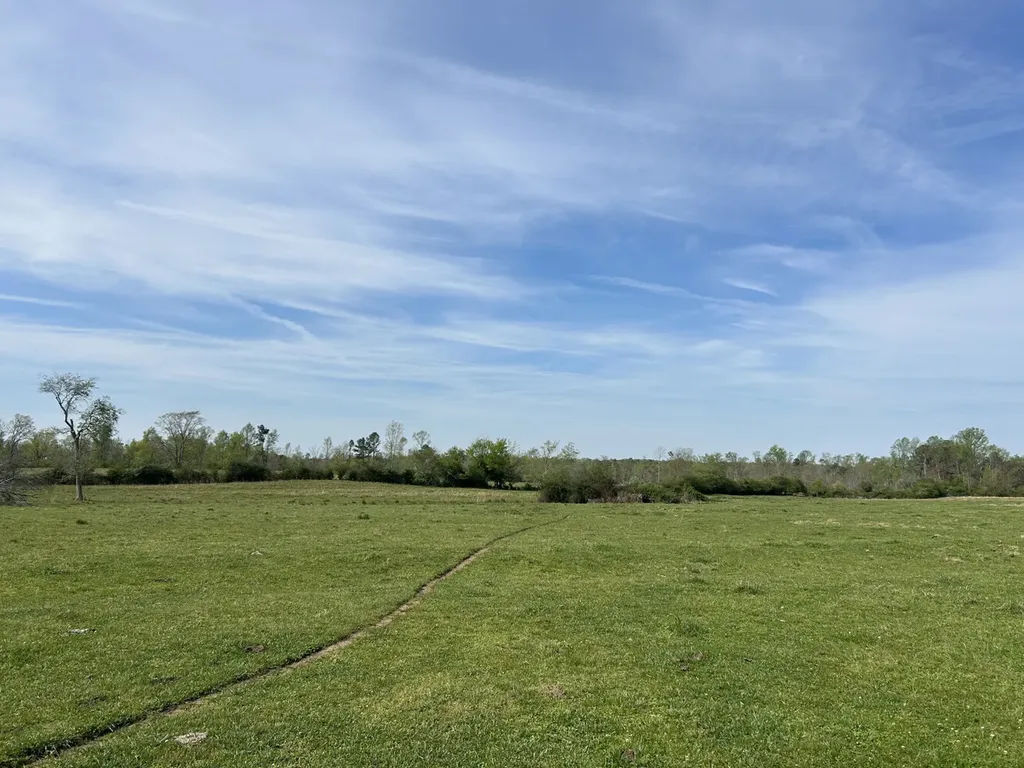 0 County Road 163, Tract A Henagar AL 35978