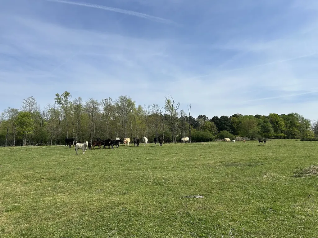 0 County Road 163, Tract A Henagar AL 35978