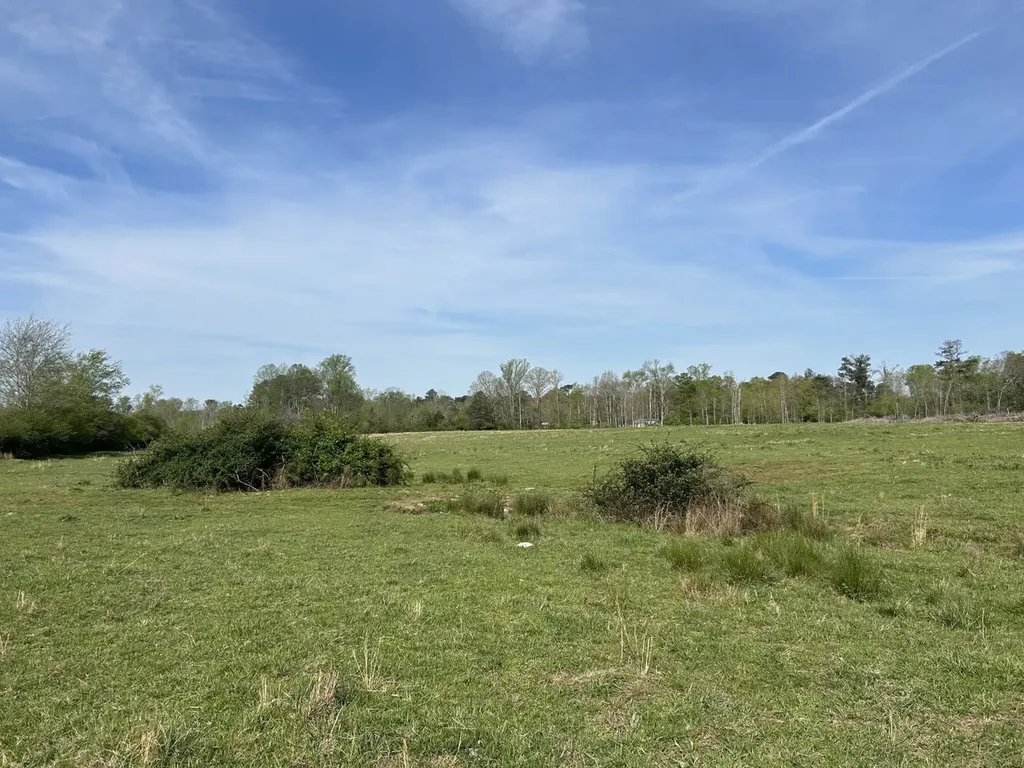 0 County Road 163, Tract A Henagar AL 35978