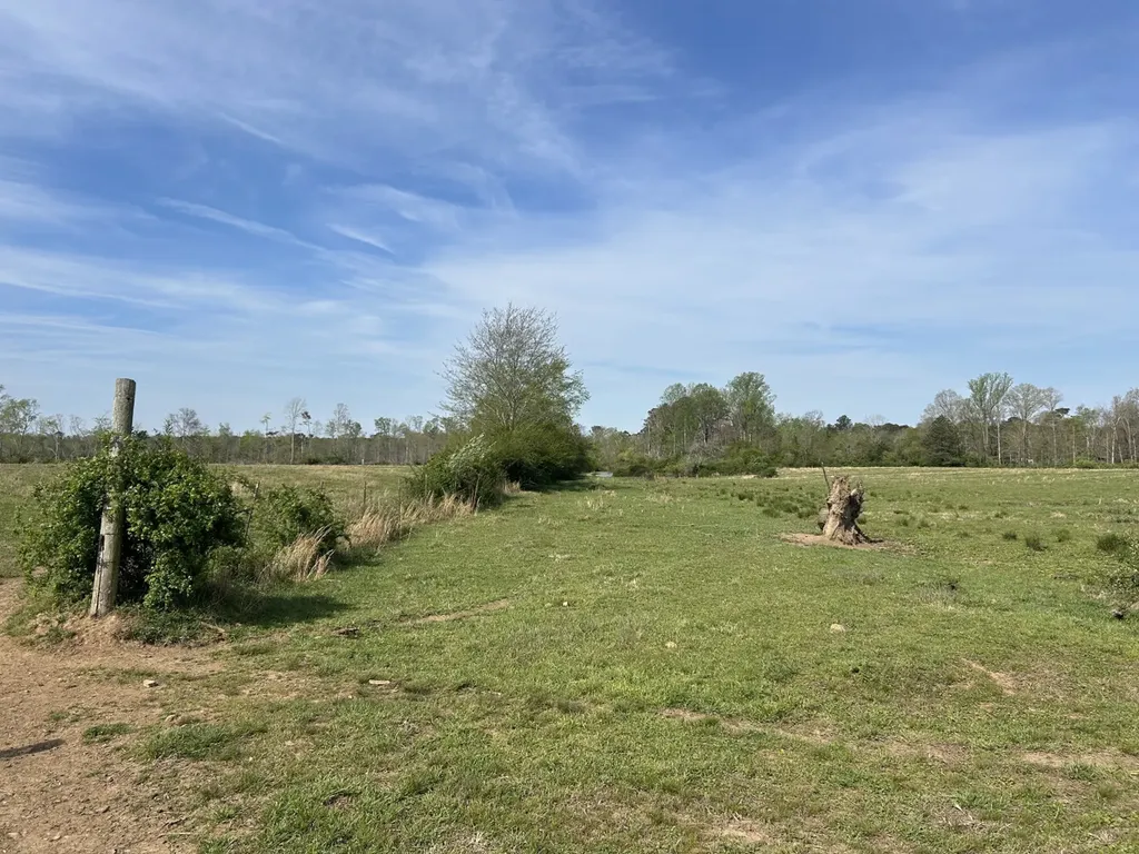 0 County Road 163, Tract A Henagar AL 35978