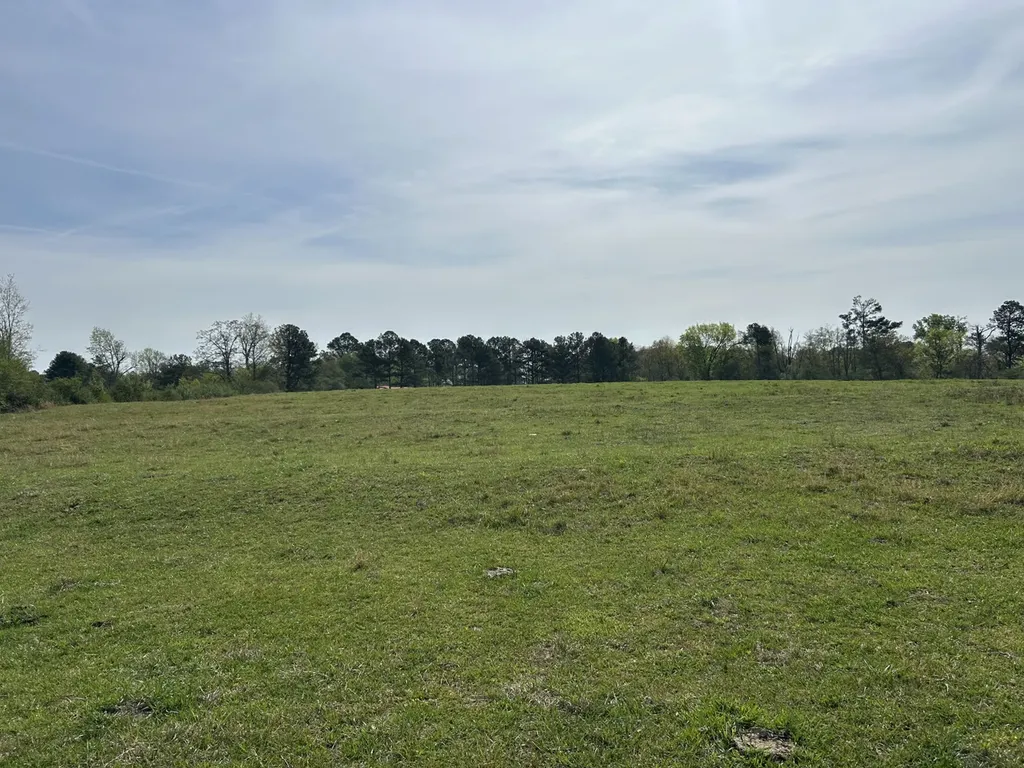 0 County Road 163, Tract A Henagar AL 35978