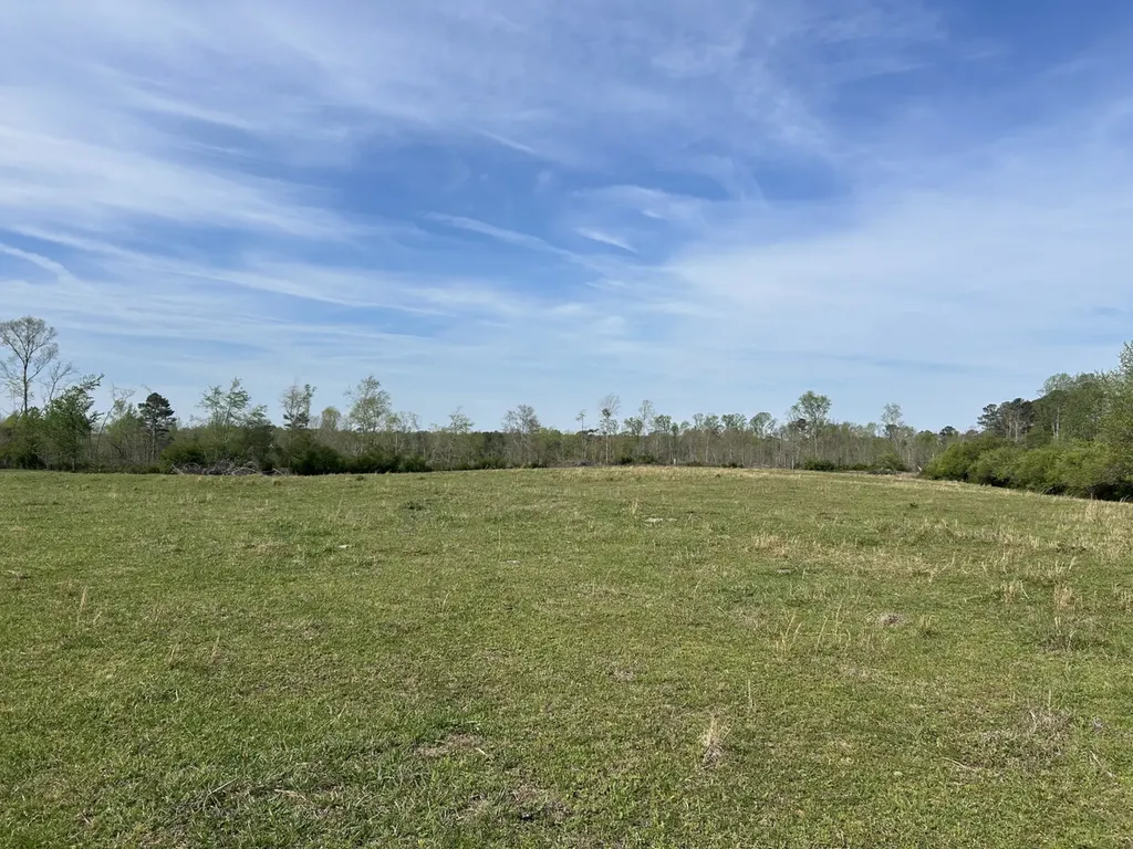 0 County Road 163, Tract A Henagar AL 35978