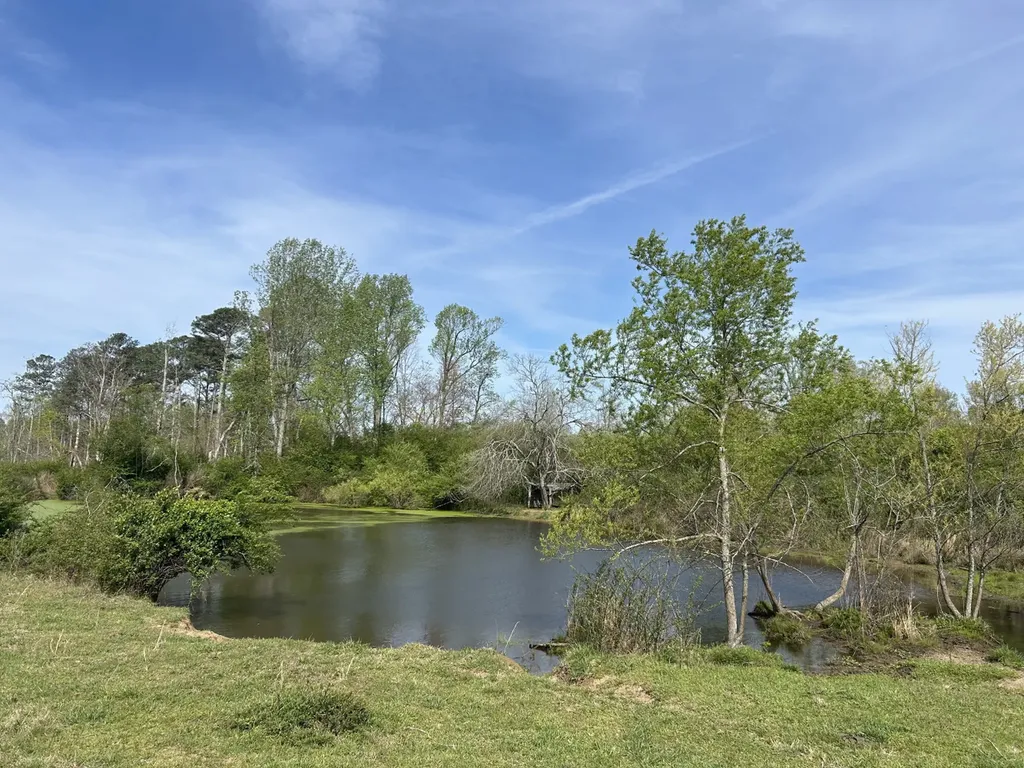 0 County Road 163, Tract A Henagar AL 35978