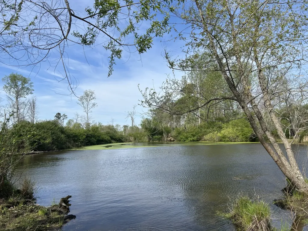 0 County Road 163, Tract A Henagar AL 35978