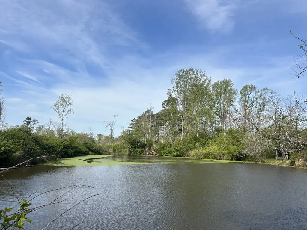 0 County Road 163, Tract A Henagar AL 35978