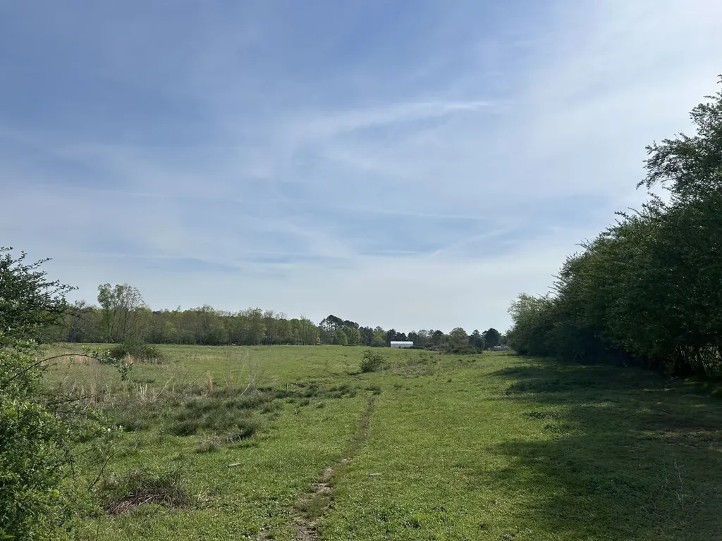 0 County Road 163, Tract A Henagar AL 35978