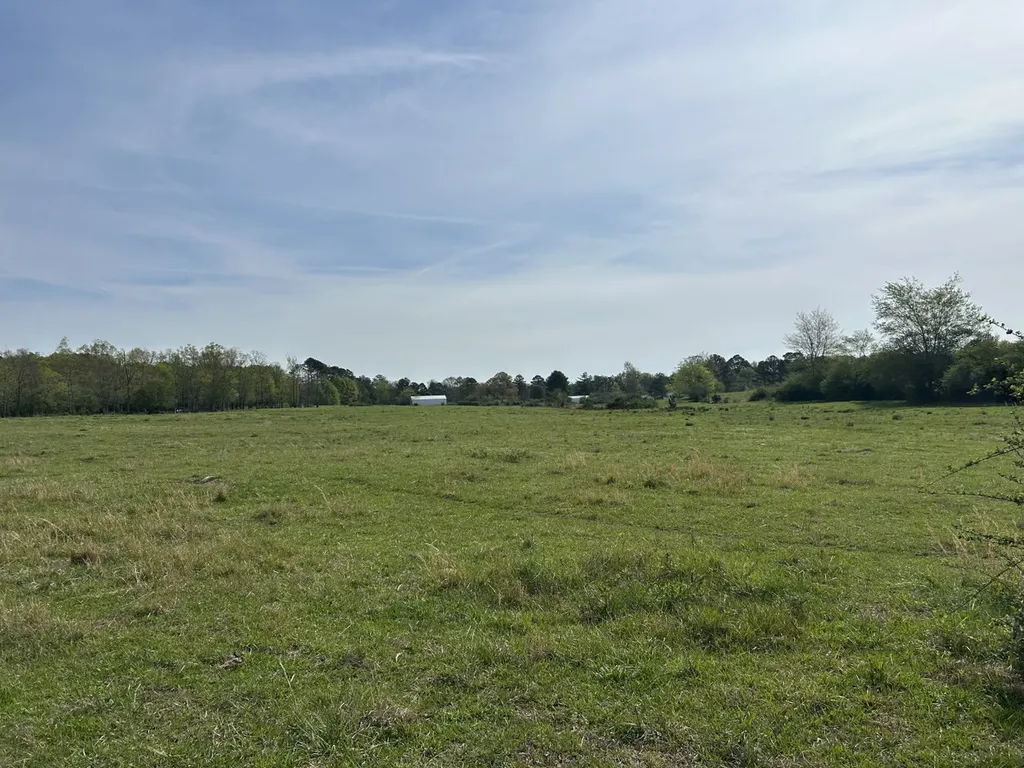 0 County Road 163, Tract A Henagar AL 35978