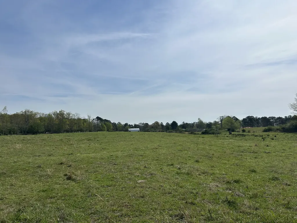 0 County Road 163, Tract A Henagar AL 35978