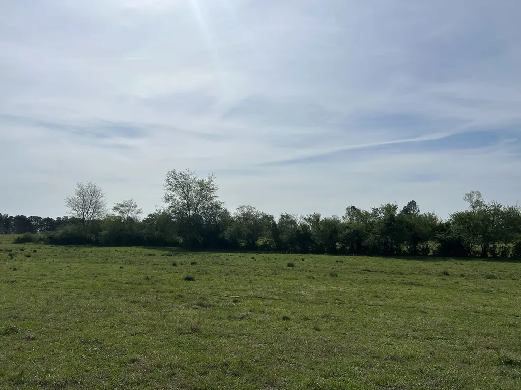 0 County Road 163, Tract A Henagar AL 35978
