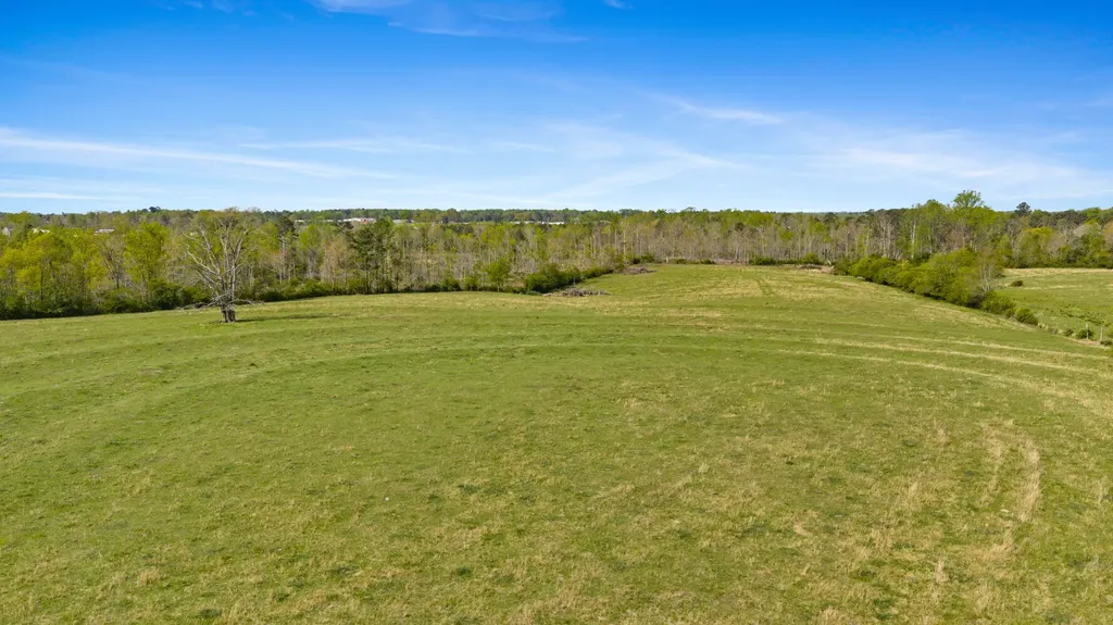 0 County Road 163, Tract A Henagar AL 35978