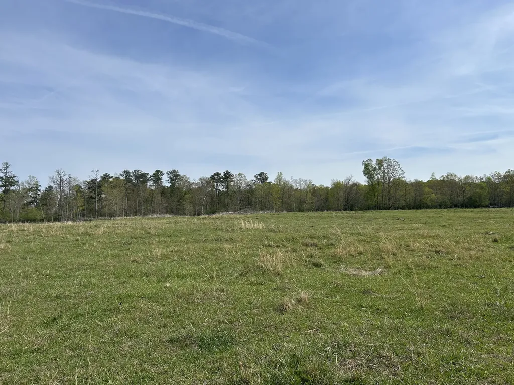 0 County Road 163, Tract A Henagar AL 35978