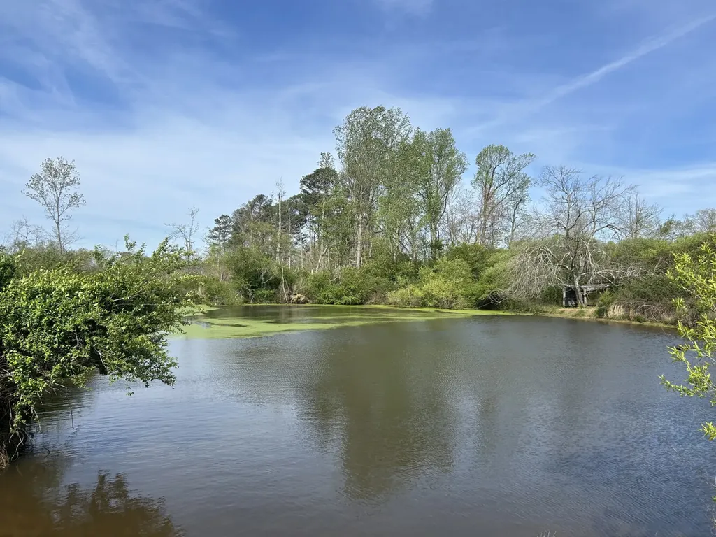 0 County Road 163, Tract A Henagar AL 35978