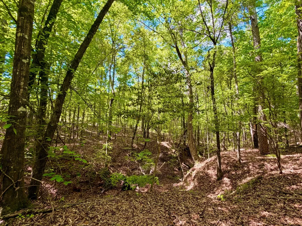 1418 Hebron Road Grove Hill AL 36451