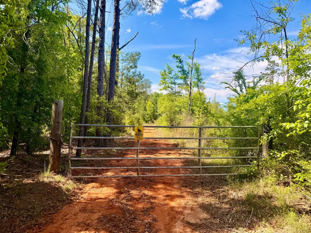 1418 Hebron Road Grove Hill AL 36451