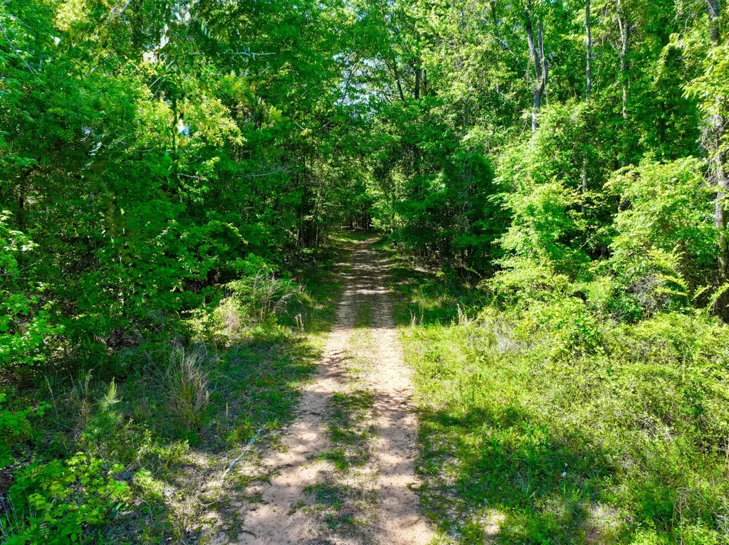 1418 Hebron Road Grove Hill AL 36451