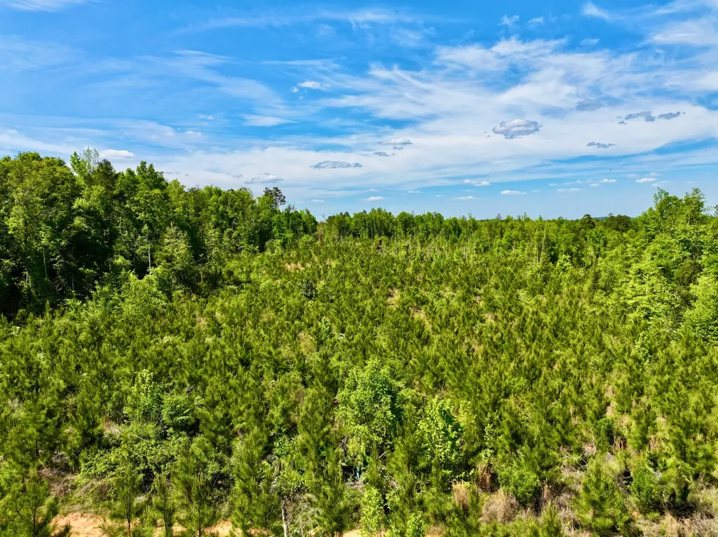 1418 Hebron Road Grove Hill AL 36451