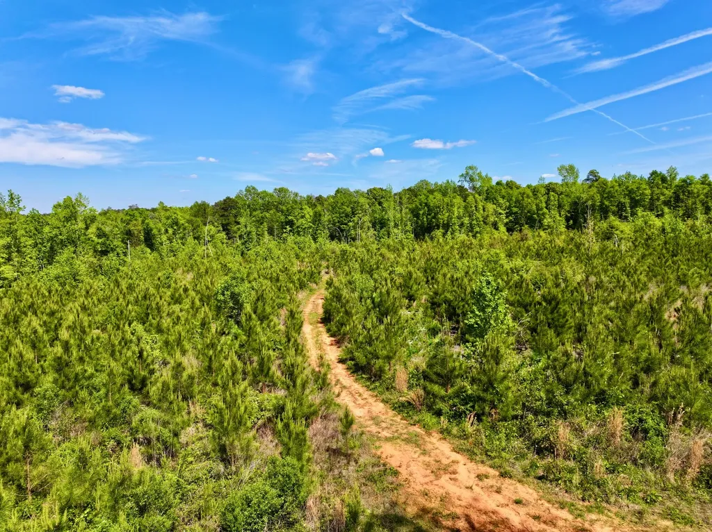 1418 Hebron Road Grove Hill AL 36451