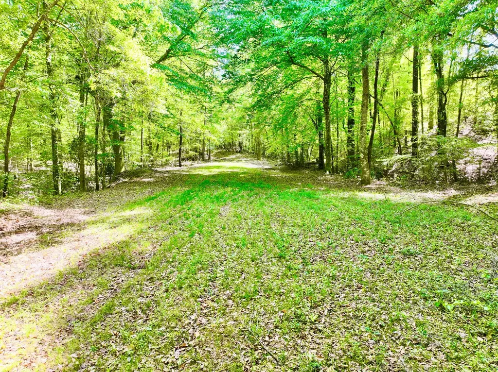 1418 Hebron Road Grove Hill AL 36451