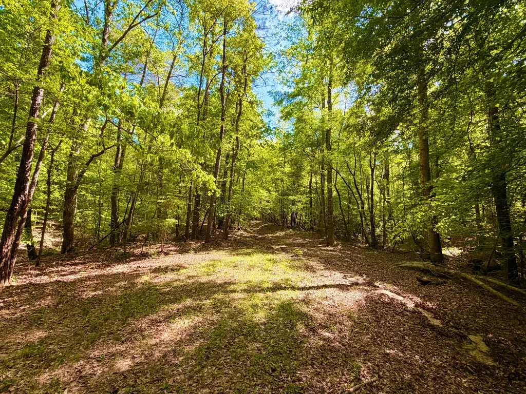 1418 Hebron Road Grove Hill AL 36451