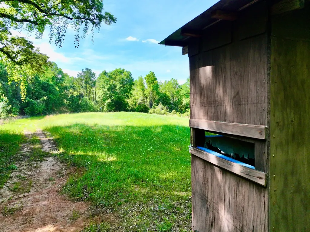 1418 Hebron Road Grove Hill AL 36451