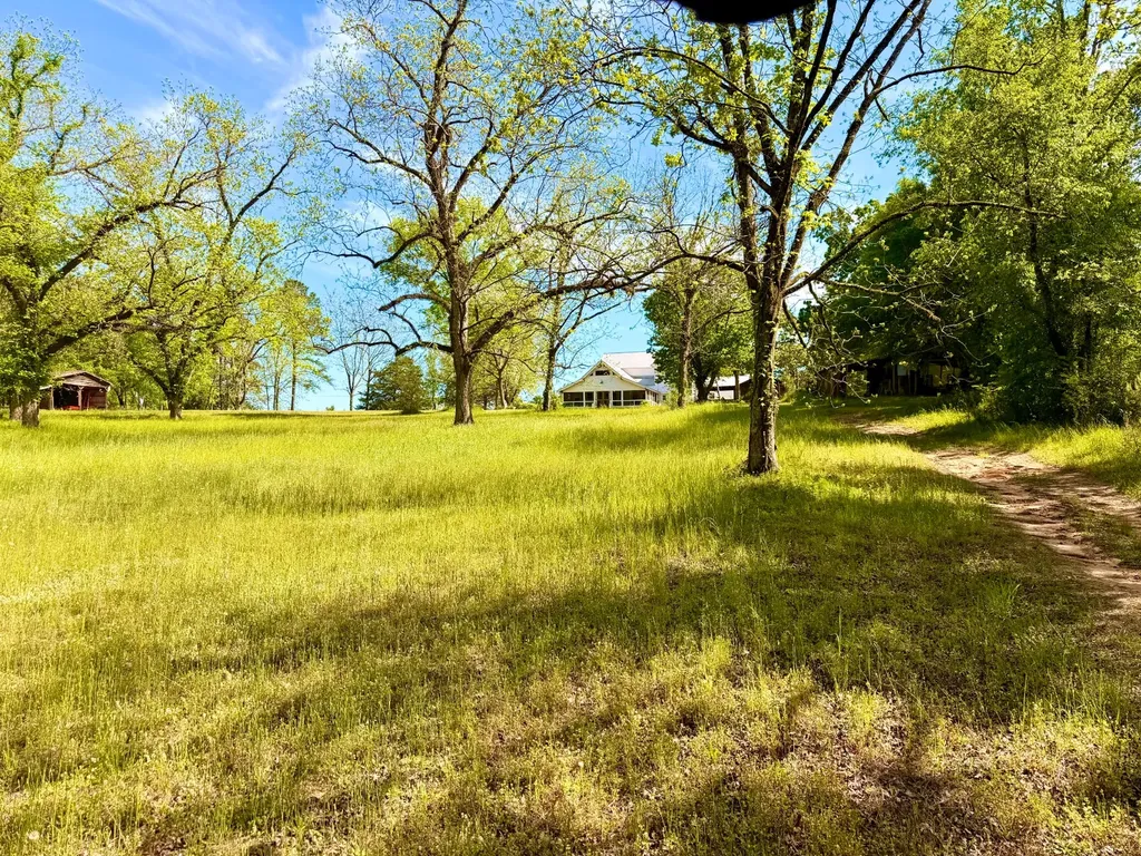 1418 Hebron Road Grove Hill AL 36451