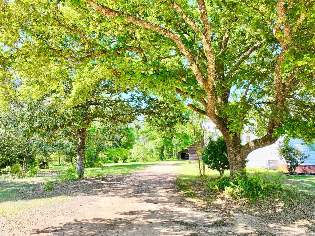 1418 Hebron Road Grove Hill AL 36451